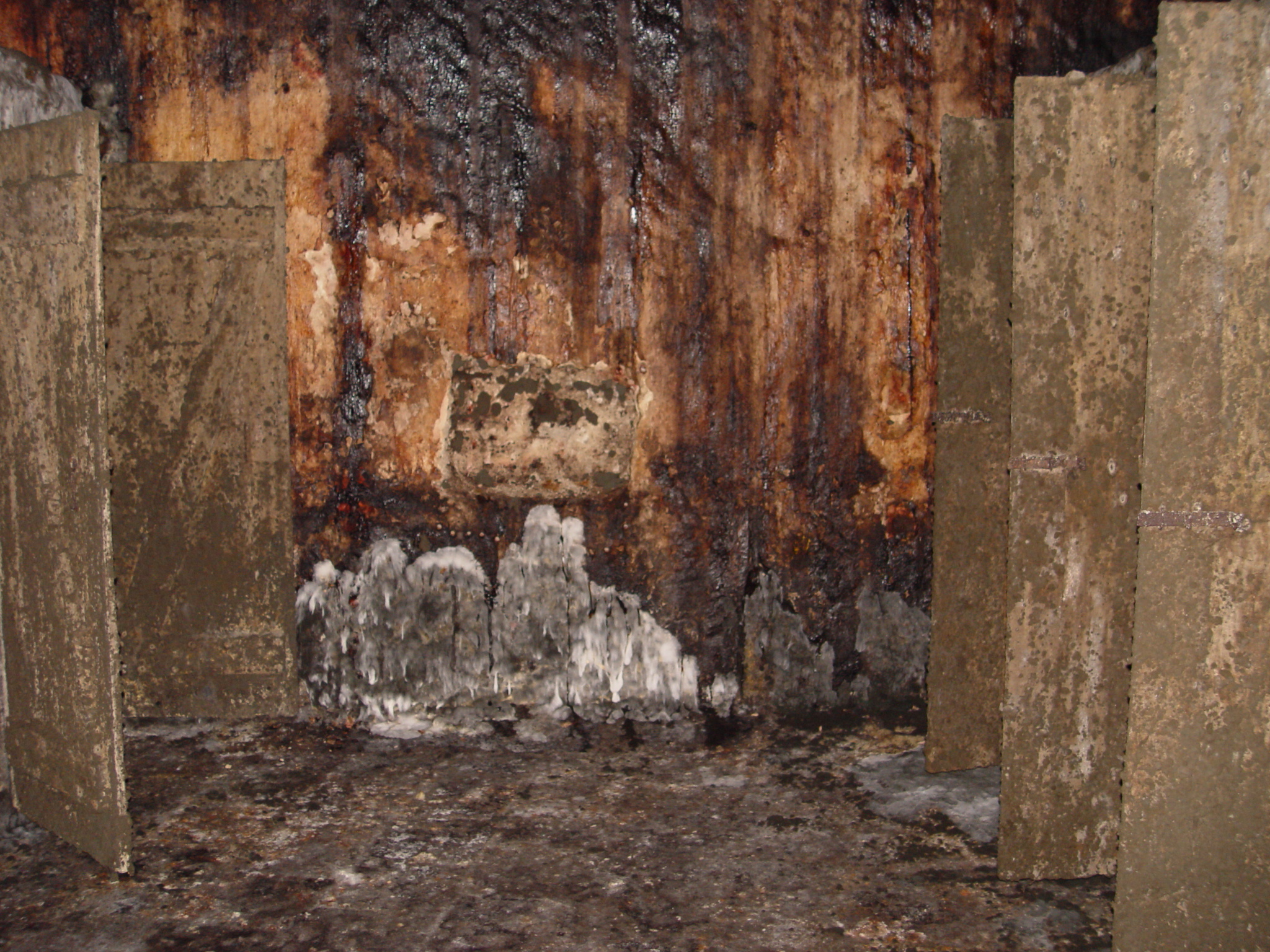 Rendkívüli mértékű penészedés, egy piceszinti wc blokkban