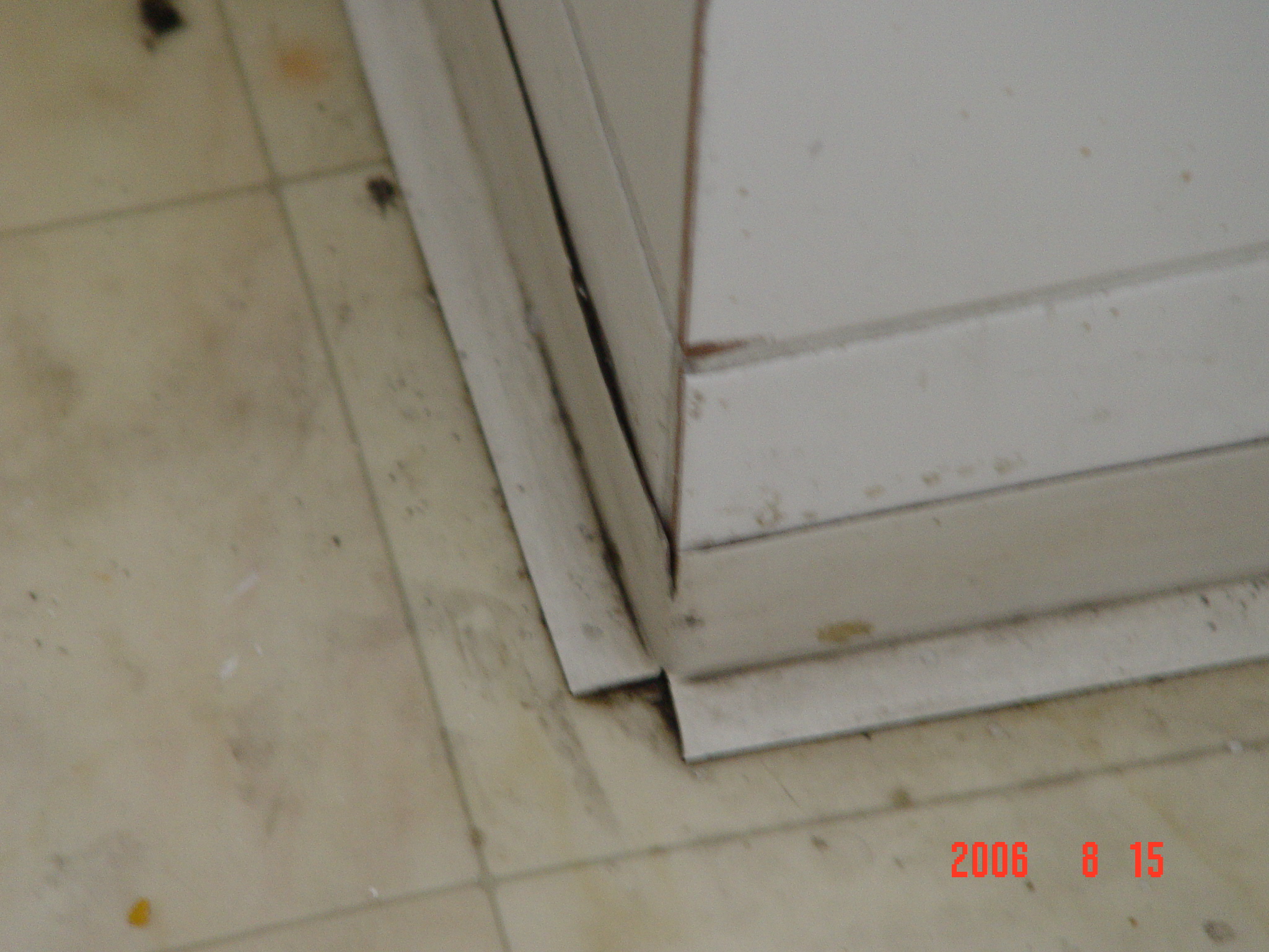 Egy súlyos beázás következményei IV.